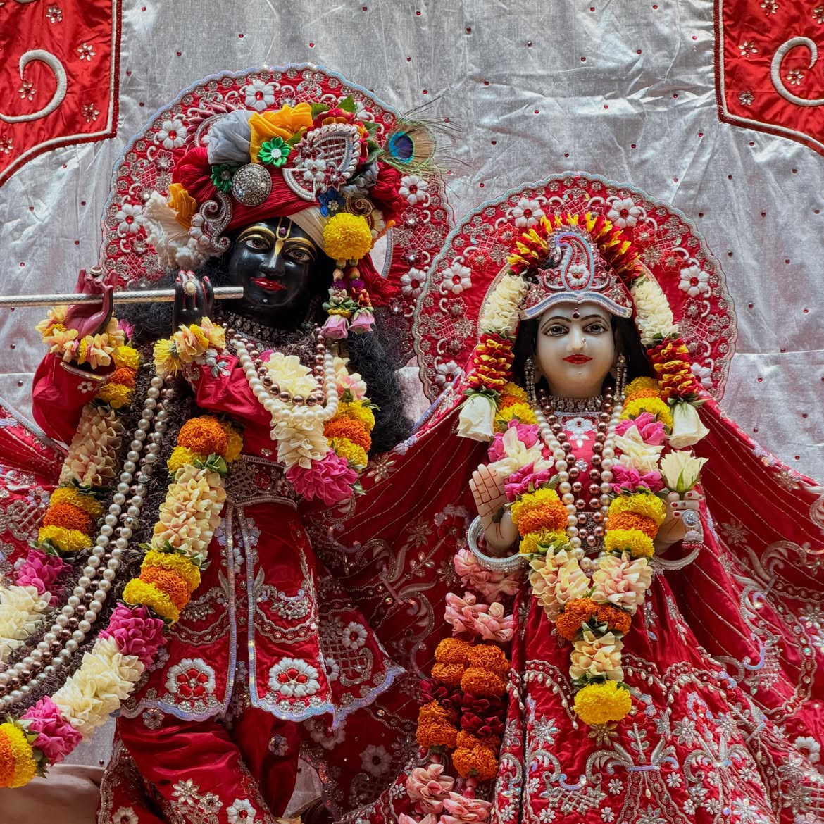 Daily darshan of Sri Sri Radha Bankebihari in red festival attire